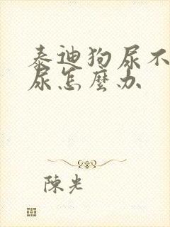 泰迪狗尿不出来尿怎么办