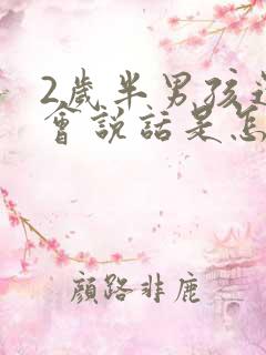 2岁半男孩还不会说话是怎么回事