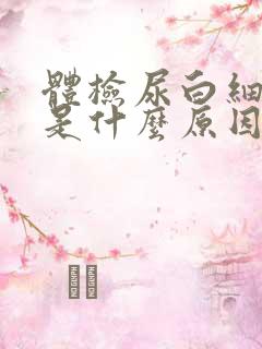 体检尿白细胞高是什么原因