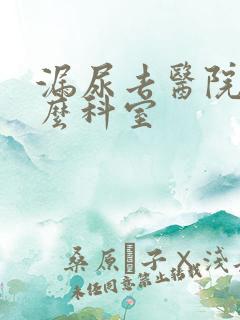 漏尿去医院挂什么科室