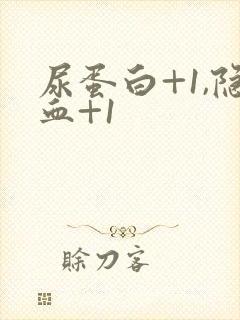 尿蛋白+1,隐血+1