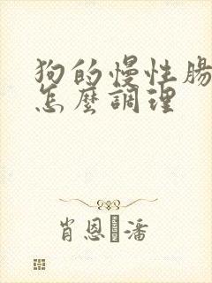 狗的慢性肠胃炎怎么调理