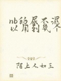 nb的尿不湿可以用到几个月大