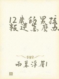 12岁的男孩子叛逆怎么办