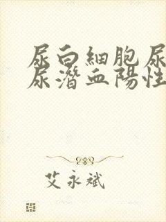 尿白细胞尿蛋白尿潜血阳性是什么意思