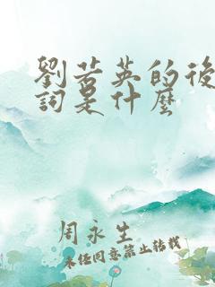 刘若英的后来歌词是什么