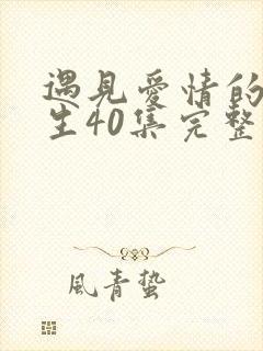 遇见爱情的利先生40集完整版全集