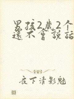 男孩2岁2个月还不会说话