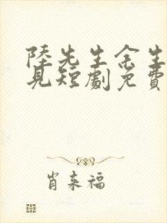 陆先生余生不再见短剧免费观看第56集