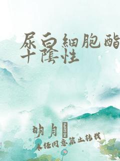 尿白细胞酯酶2十阴性