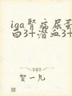 iga肾病尿蛋白3+潜血3+严重吗