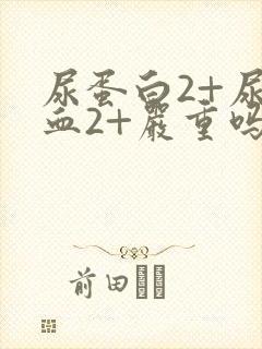 尿蛋白2+尿潜血2+严重吗