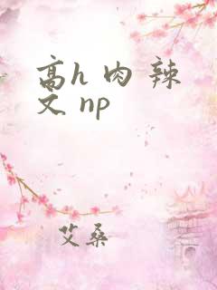 高h 肉 辣 文 np
