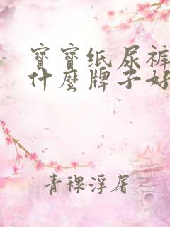 宝宝纸尿裤夏天什么牌子好