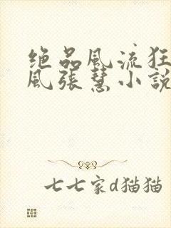 绝品风流狂医林风张慧小说在线看