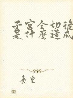 子宫全切后漏尿是什么造成的