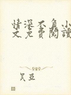 情深不负小说全文免费阅读