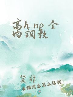 高h np 全肉调教