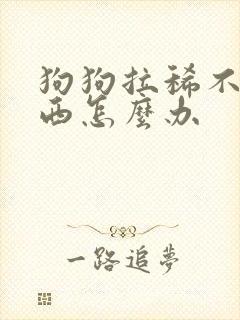 狗狗拉稀不吃东西怎么办