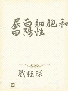 尿白细胞和尿蛋白阳性