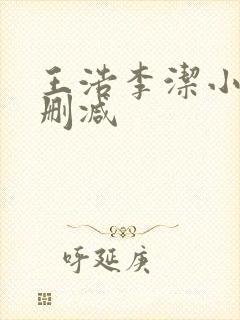 王浩李洁小说无删减