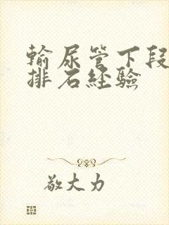 输尿管下段结石排石经验