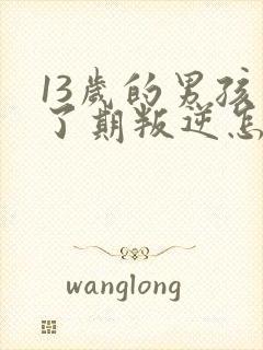 13岁的男孩到了期叛逆怎么教