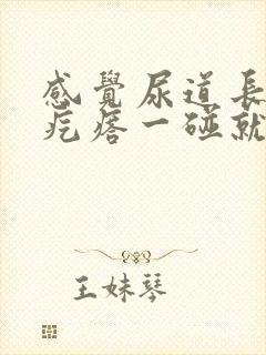 感觉尿道长了个疙瘩一碰就疼