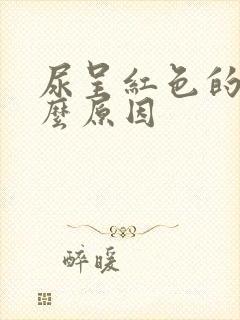 尿呈红色的是什么原因