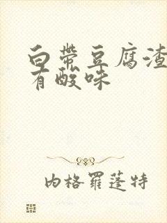 白带豆腐渣状 有酸味