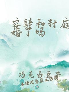 容辞和封庭深离婚了吗