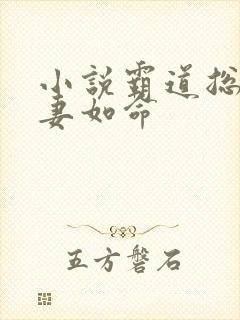 小说霸道总裁宠妻如命