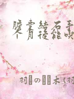 胆囊结石手术半个月后能吃什么