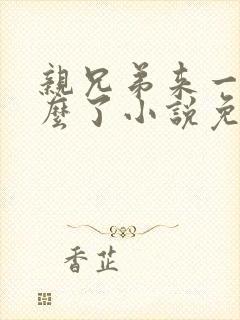 亲兄弟来一发怎么了小说免费阅读