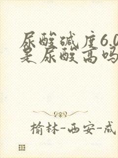 尿酸碱度6.0是尿酸高吗