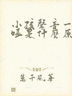 小孩声音一直嘶哑是什么原因造成的