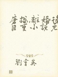 唐总,离婚后请自重小说免费阅读