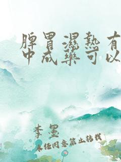 脾胃湿热有什么中成药可以治疗