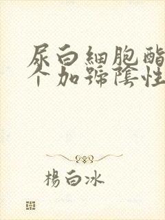 尿白细胞酯酶2个加号阴性