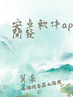 安卓软件app开发