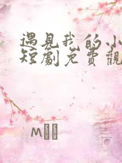 遇见我的小欢喜短剧免费观看