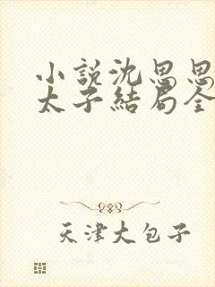 小说沈思思沈怡太子结局全文