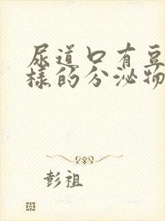 尿道口有豆腐渣样的分泌物