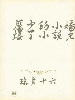 厉少的小娇妻甜爆了小说免费阅读