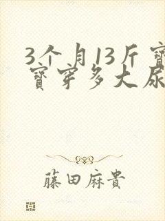 3个月13斤宝宝穿多大尿不湿