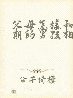 父母怎样和叛逆期的男孩相处