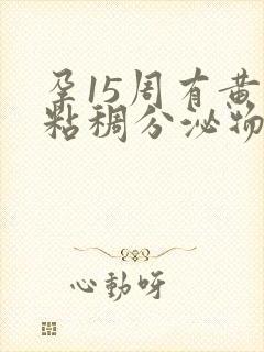 孕15周有黄色粘稠分泌物