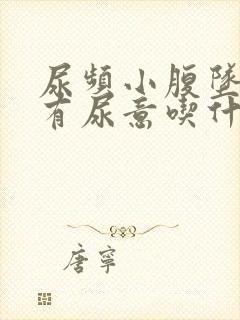 尿频小腹坠胀总有尿意吃什么药