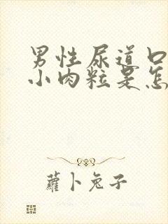 男性尿道口里有小肉粒是怎么回事