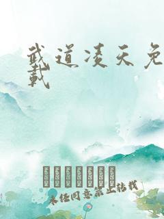 武道凌天免费下载